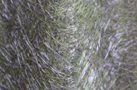 Thwaite Head fibreglass roof work